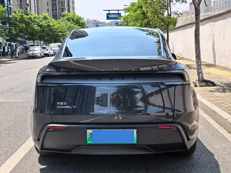 Tesla Model Y Model Y 2026 Rear-Wheel Drive 2026 — миниатюра 2