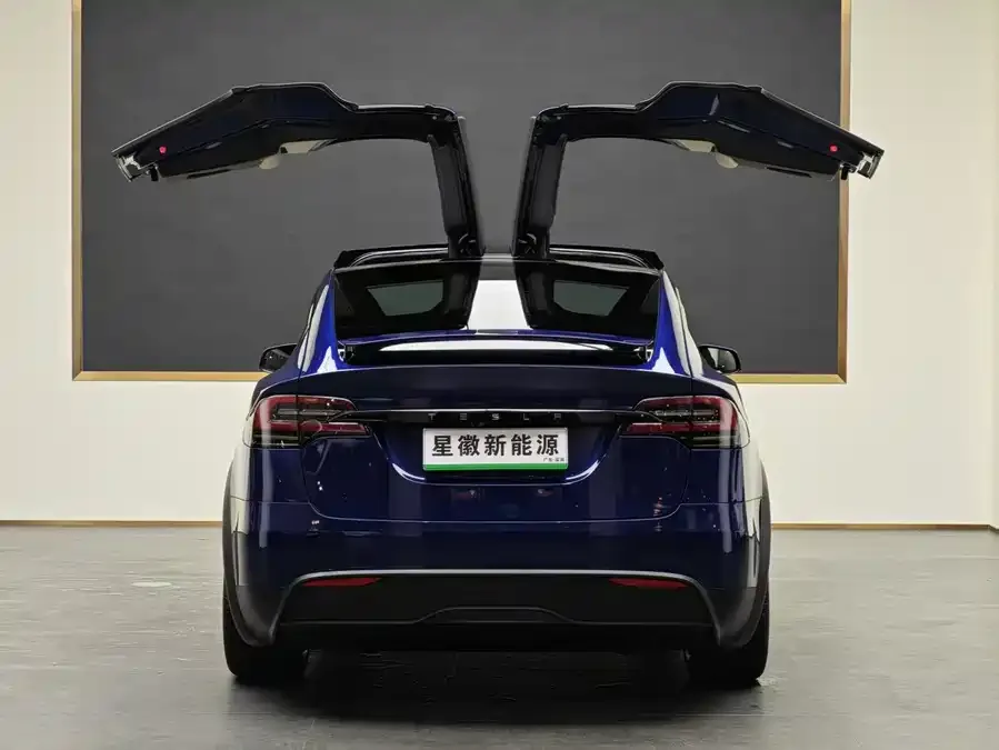 Tesla Model X Model X 2023 Dual Motor All-Wheel Drive 2023 — миниатюра 5