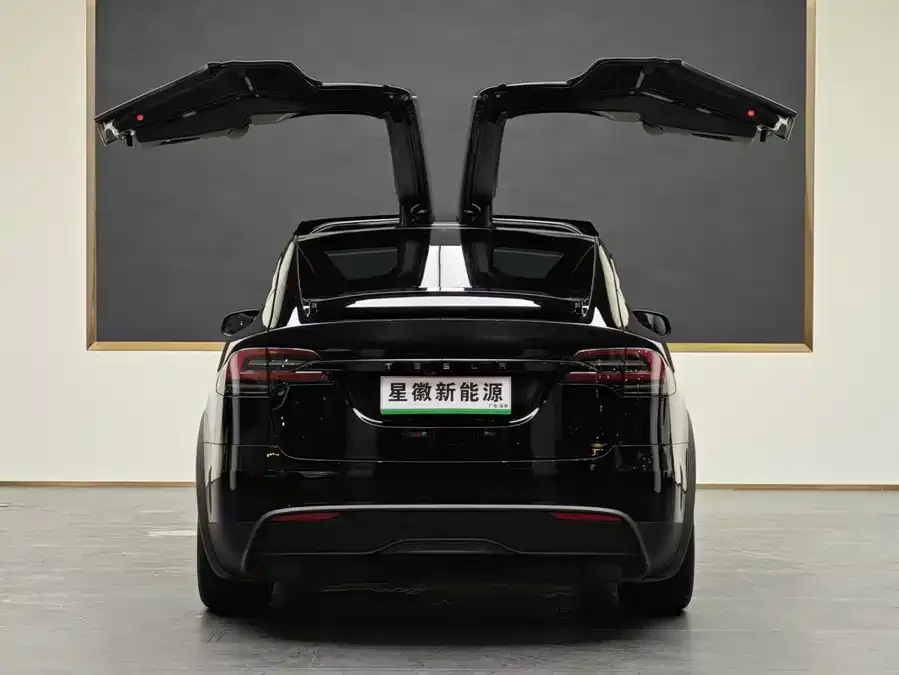 Tesla Model X Model X 2023 Dual Motor All-Wheel Drive 2024 — миниатюра 5