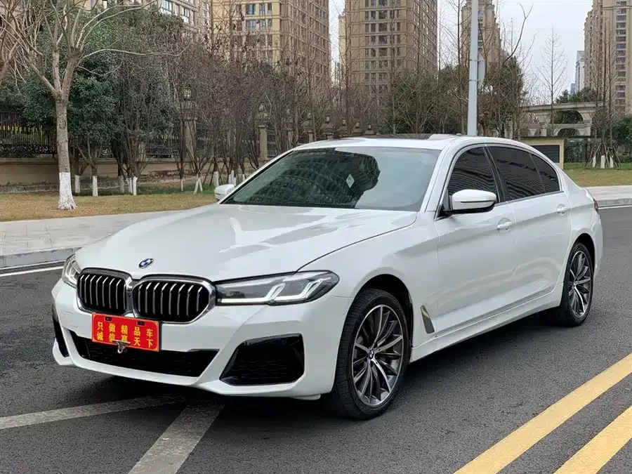 BMW 5 Series BMW 5 Series 2022 facelift 3 530Li Exclusive M Sport Package 2022 — фото 1, купить с доставкой в Москву