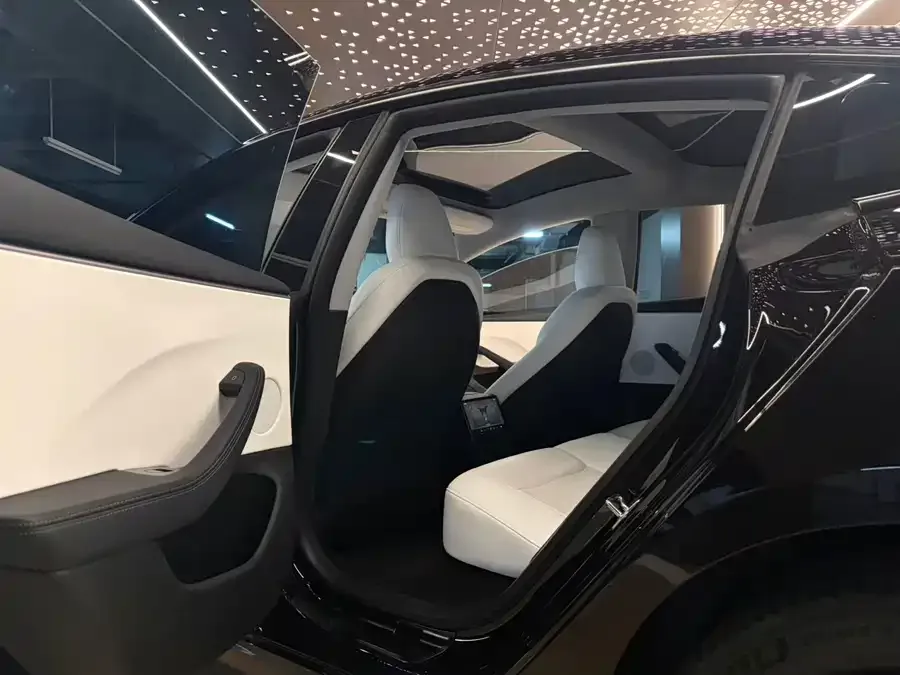 Tesla Model 3 Model 3 2023 Long Range All-Wheel Drive 2023 — миниатюра 3