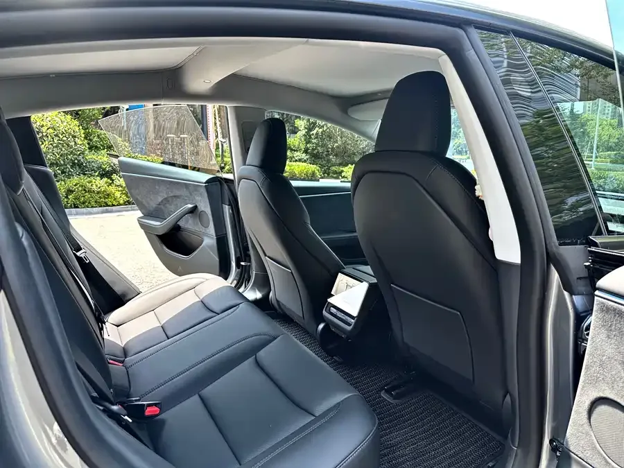 Tesla Model 3 Model 3 2025 Long Range All-Wheel Drive 2025 — миниатюра 3