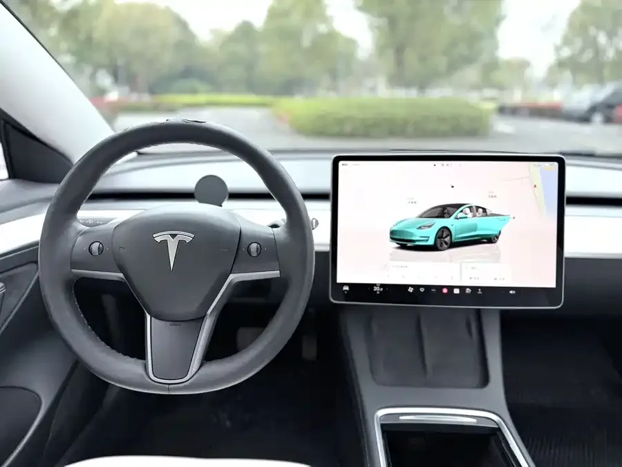 Tesla Model 3 Model 3 2022 rear-wheel drive version 2022 — миниатюра 2