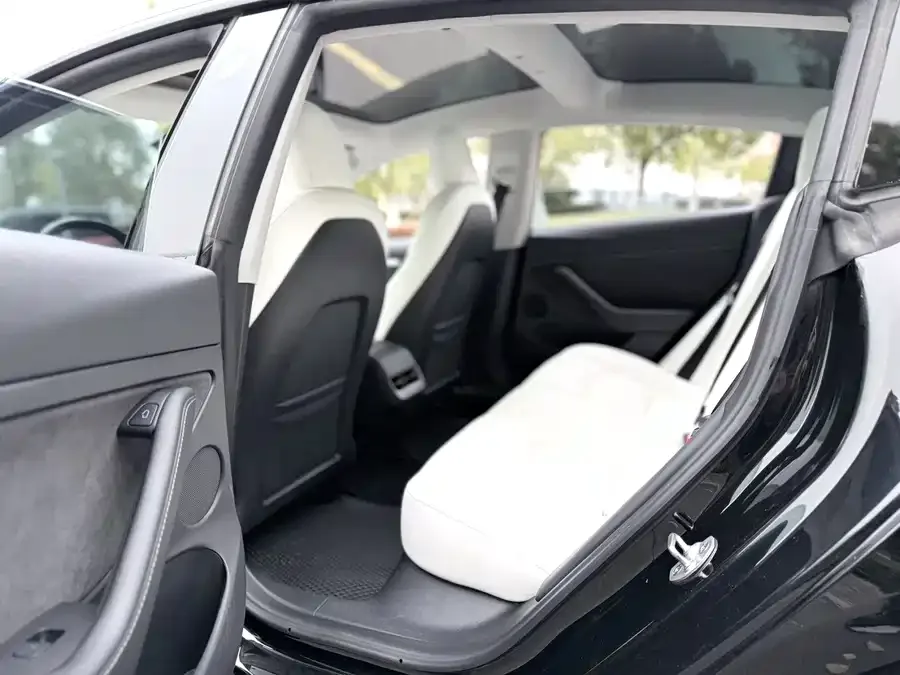 Tesla Model 3 Model 3 2022 rear-wheel drive version 2022 — миниатюра 3
