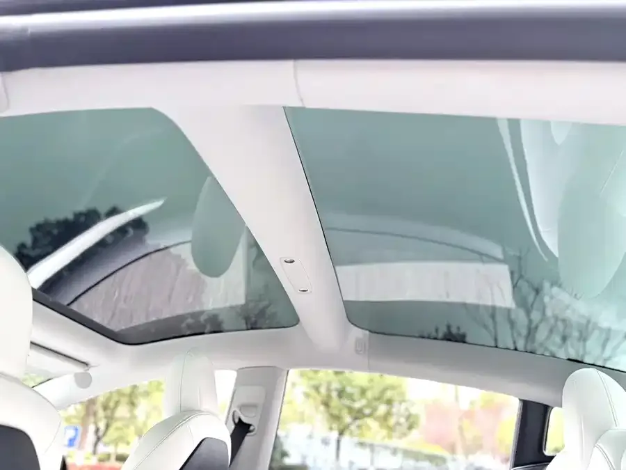 Tesla Model 3 Model 3 2022 rear-wheel drive version 2022 — миниатюра 4