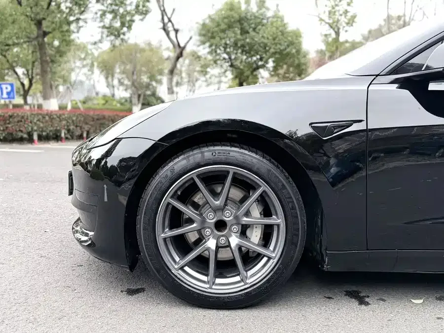 Tesla Model 3 Model 3 2022 rear-wheel drive version 2022 — миниатюра 5