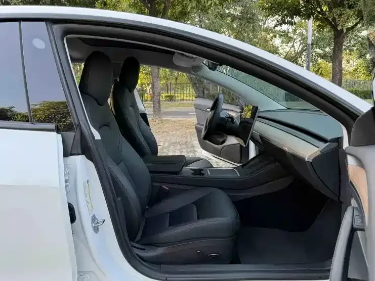 Tesla Model 3 Model 3 2022 rear-wheel drive version 2023 — миниатюра 3