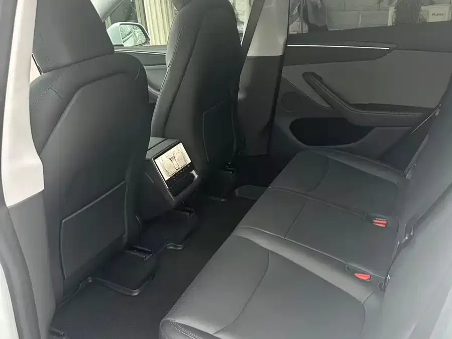 Tesla Model Y Model Y 2025 rear-wheel drive version 2025 — миниатюра 3