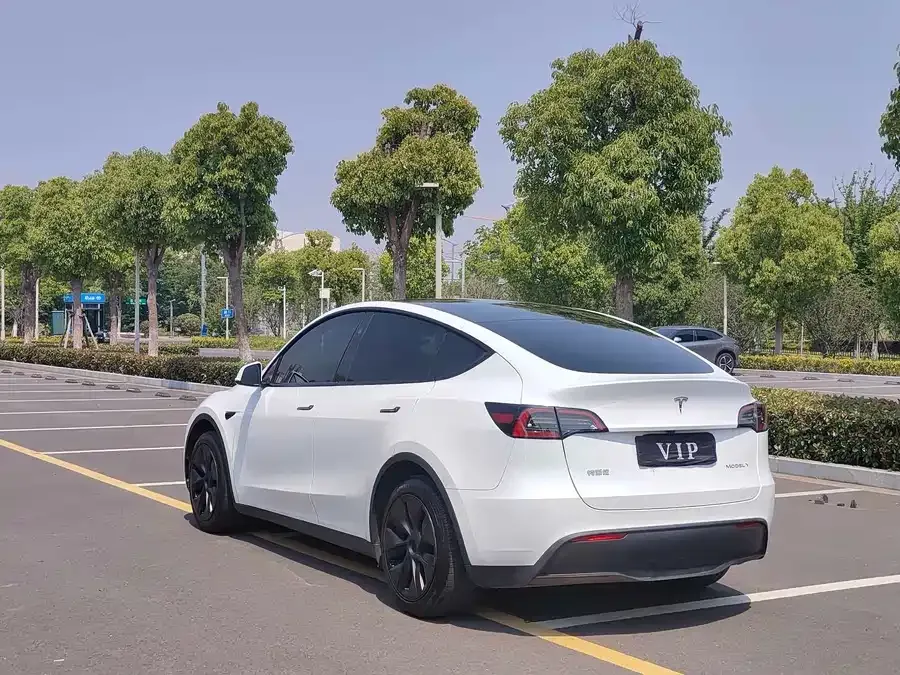 Tesla Model Y Model Y 2024 rear-wheel drive version 2024 — миниатюра 2