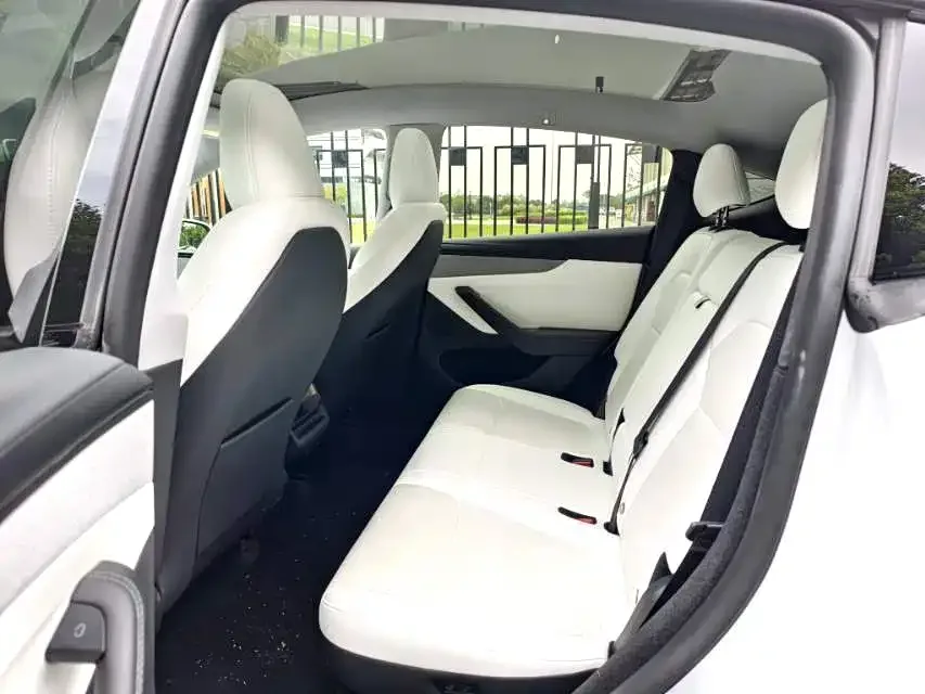Tesla Model Y Model Y 2025 rear-wheel drive version 2025 — миниатюра 2