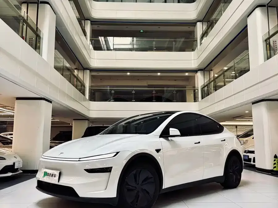 Tesla Model Y Model Y 2026 Rear-Wheel Drive 2026 — миниатюра 3