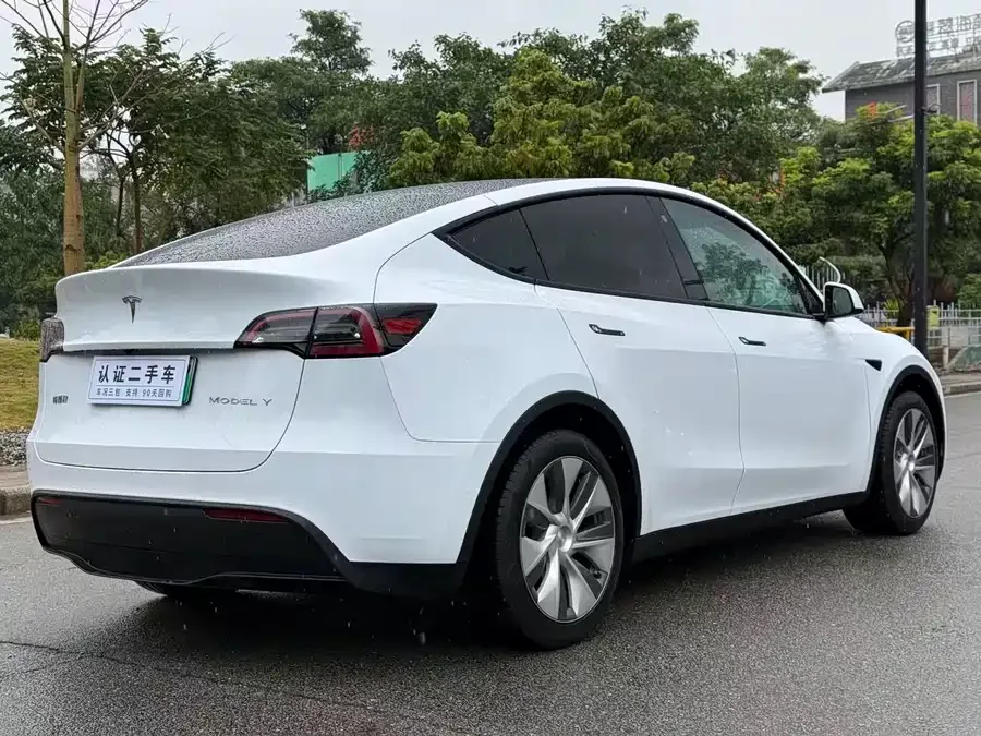 Tesla Model Y Model Y 2022 Long Range All-Wheel Drive Version 2022 — миниатюра 5