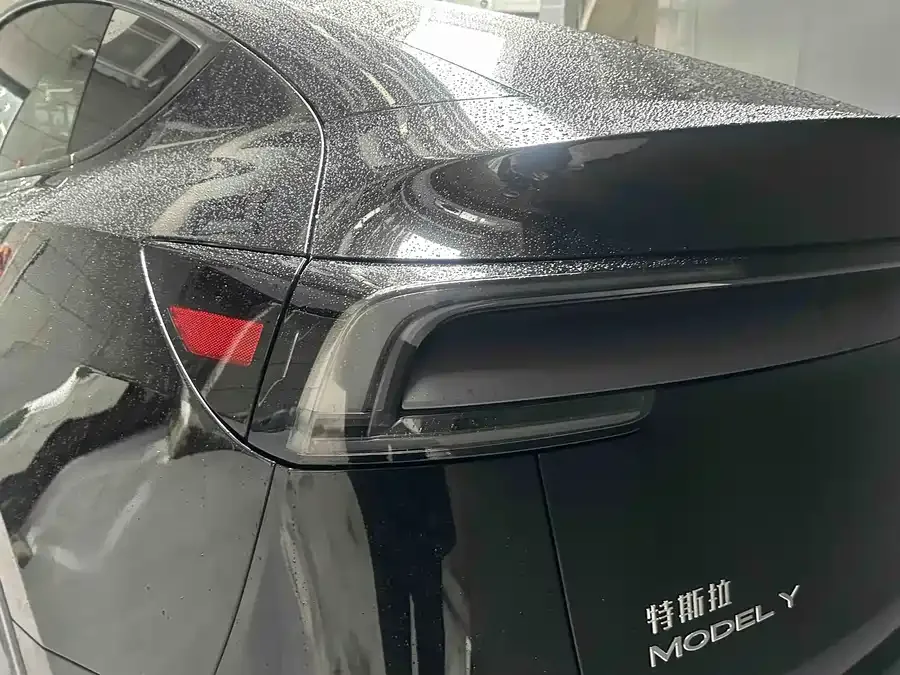 Tesla Model Y Model Y 2025 rear-wheel drive first edition 2025 — миниатюра 2