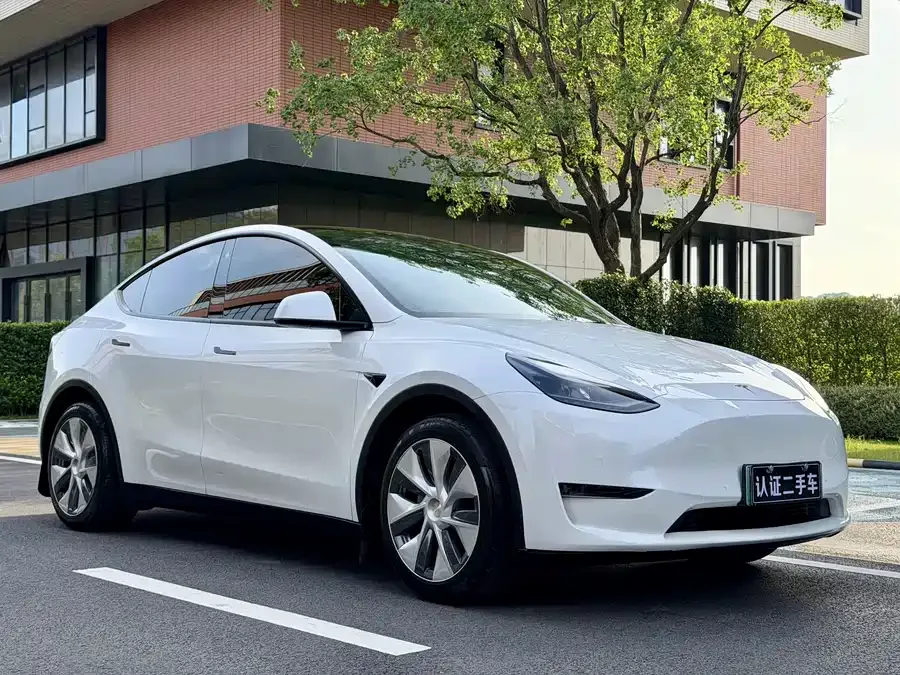 Tesla Model Y Model Y 2021 Standard Range Rear-wheel Drive Version 2022 — миниатюра 2