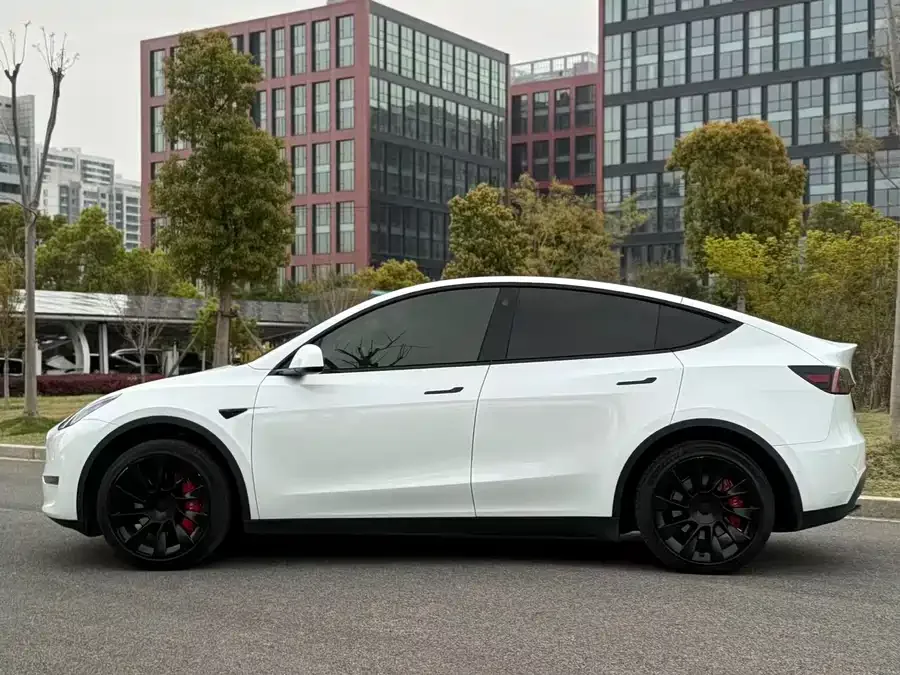 Tesla Model Y Model Y 2023 long-range all-wheel drive version 2023 — миниатюра 4