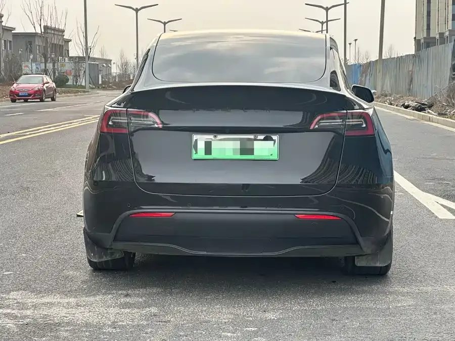Tesla Model Y Model Y 2023 rear-wheel drive version 2024 — миниатюра 5