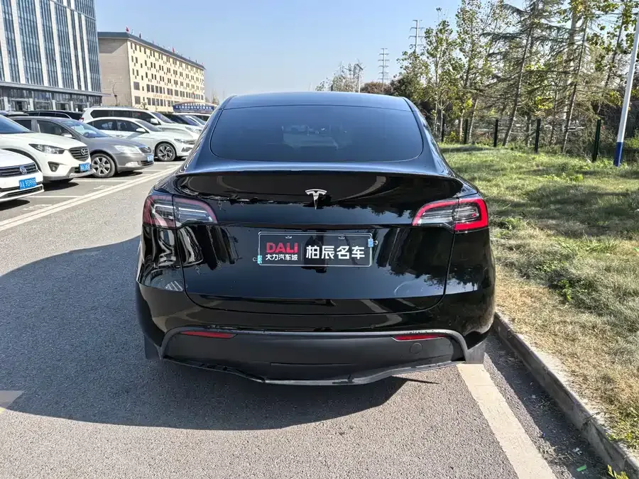 Tesla Model Y Model Y 2022 rear-wheel drive version 2022 — миниатюра 4