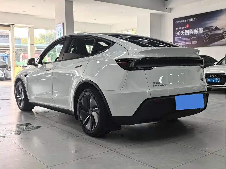 Tesla Model Y Model Y 2025 rear-wheel drive first edition 2025 — миниатюра 4