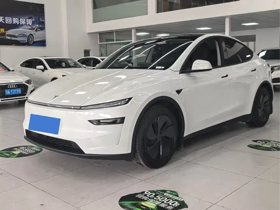 Tesla Model Y Model Y 2025 rear-wheel drive first edition 2025 — фото 1, купить с доставкой в Москву