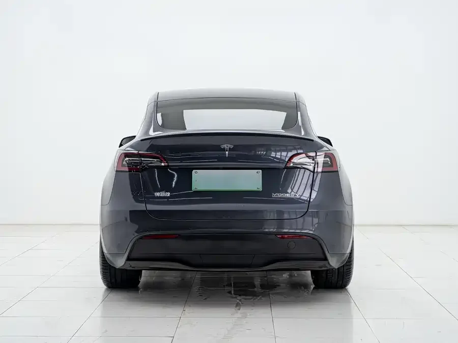 Tesla Model Y Model Y 2022 Performance All-Wheel Drive Edition 2023 — миниатюра 2