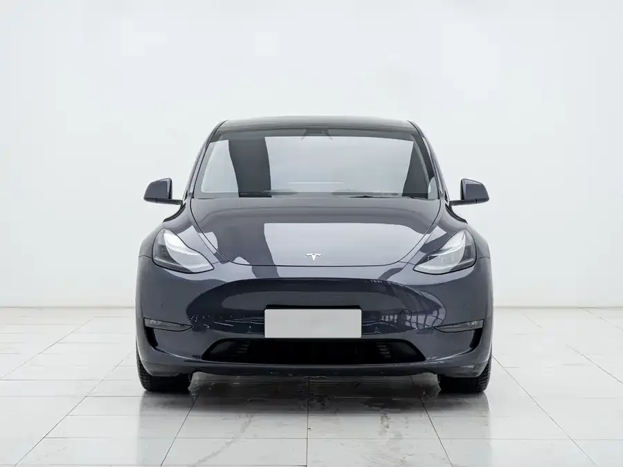 Tesla Model Y Model Y 2022 Performance All-Wheel Drive Edition 2023 — фото 1, купить с доставкой в Москву