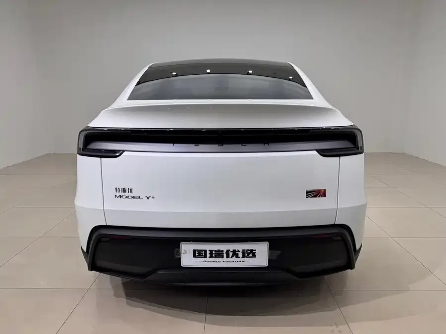 Tesla Model Y Model Y 2025 long-range all-wheel drive version 2025 — миниатюра 2