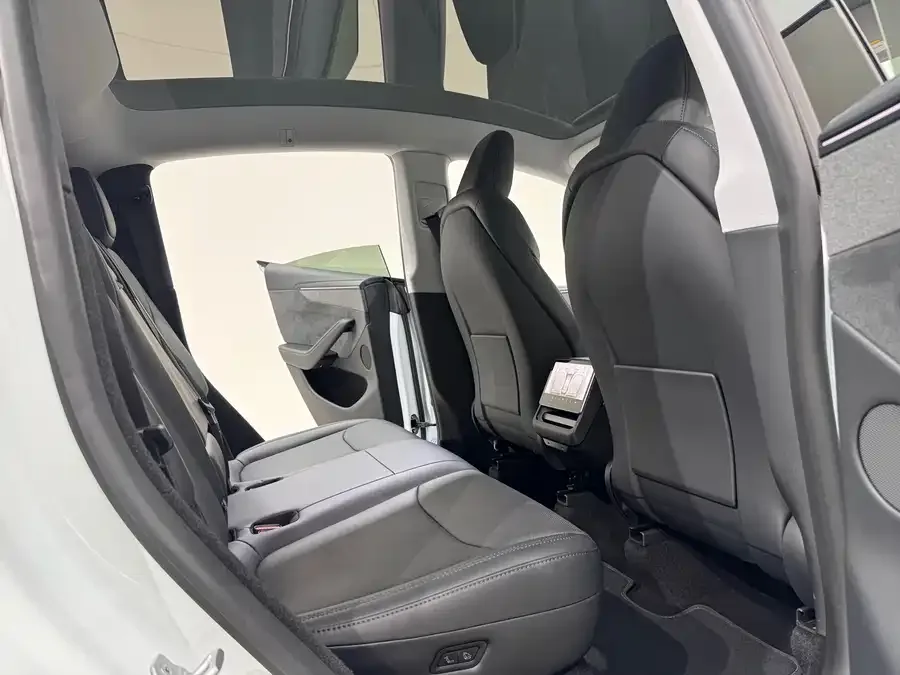 Tesla Model Y Model Y 2025 long-range all-wheel drive version 2025 — миниатюра 3