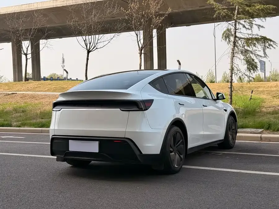 Tesla Model Y Model Y 2025 rear-wheel drive version 2025 — миниатюра 3