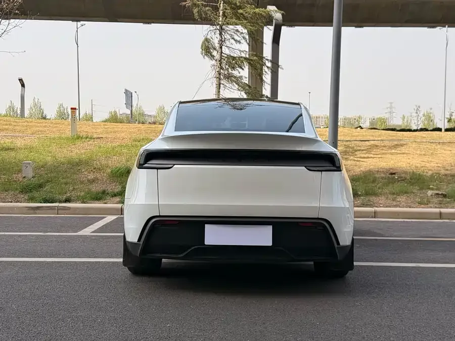 Tesla Model Y Model Y 2025 rear-wheel drive version 2025 — миниатюра 5