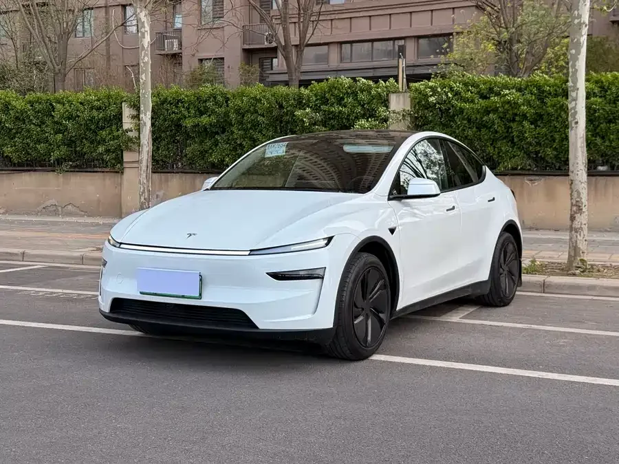 Tesla Model Y Model Y 2025 rear-wheel drive version 2025 — фото 1, купить с доставкой в Москву