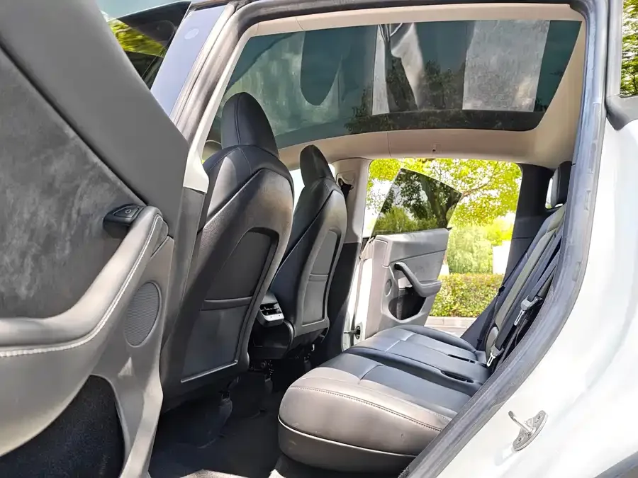 Tesla Model Y Model Y 2022 rear-wheel drive version 2022 — миниатюра 4