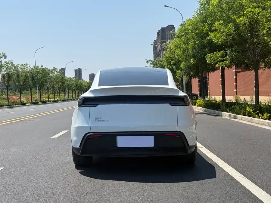 Tesla Model Y Model Y 2025 rear-wheel drive version 2025 — миниатюра 5