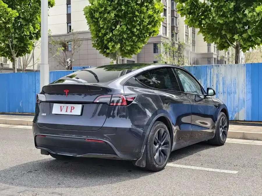 Tesla Model Y Model Y 2024 rear-wheel drive version 2024 — миниатюра 3