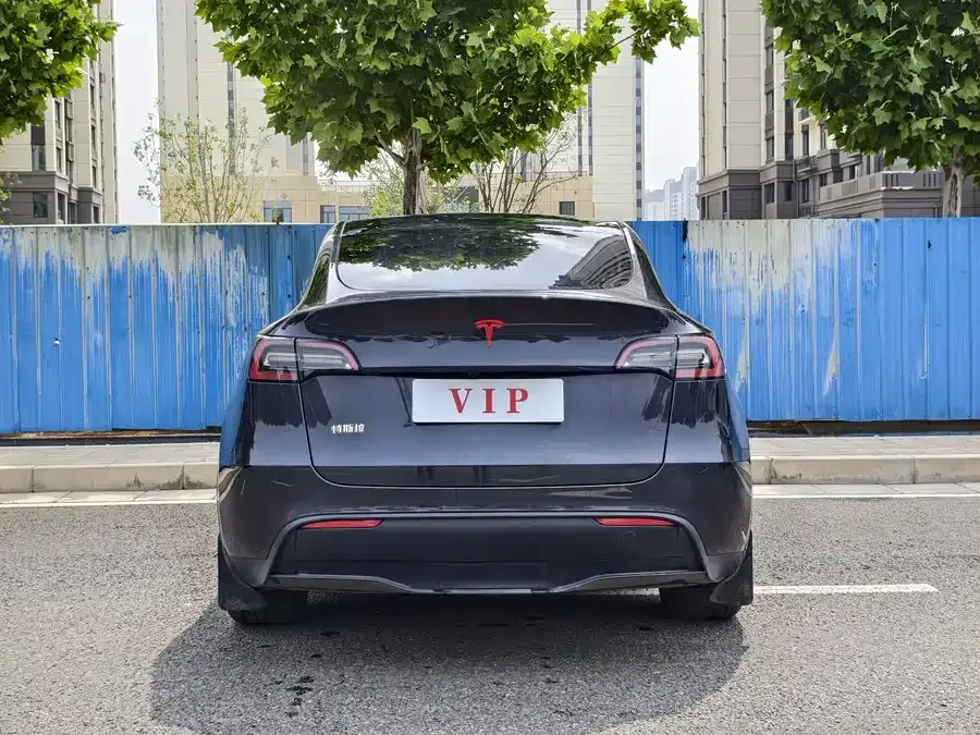 Tesla Model Y Model Y 2024 rear-wheel drive version 2024 — миниатюра 5
