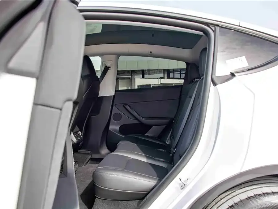 Tesla Model Y Model Y 2024 rear-wheel drive version 2024 — миниатюра 4