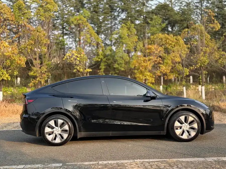 Tesla Model Y Model Y 2023 rear-wheel drive version 2023 — миниатюра 2