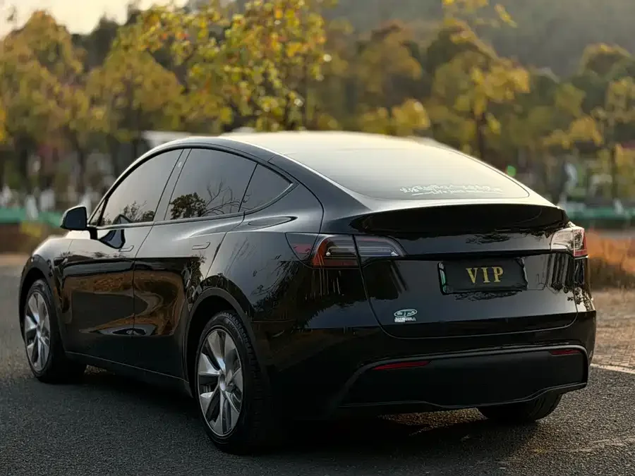 Tesla Model Y Model Y 2023 rear-wheel drive version 2023 — миниатюра 3