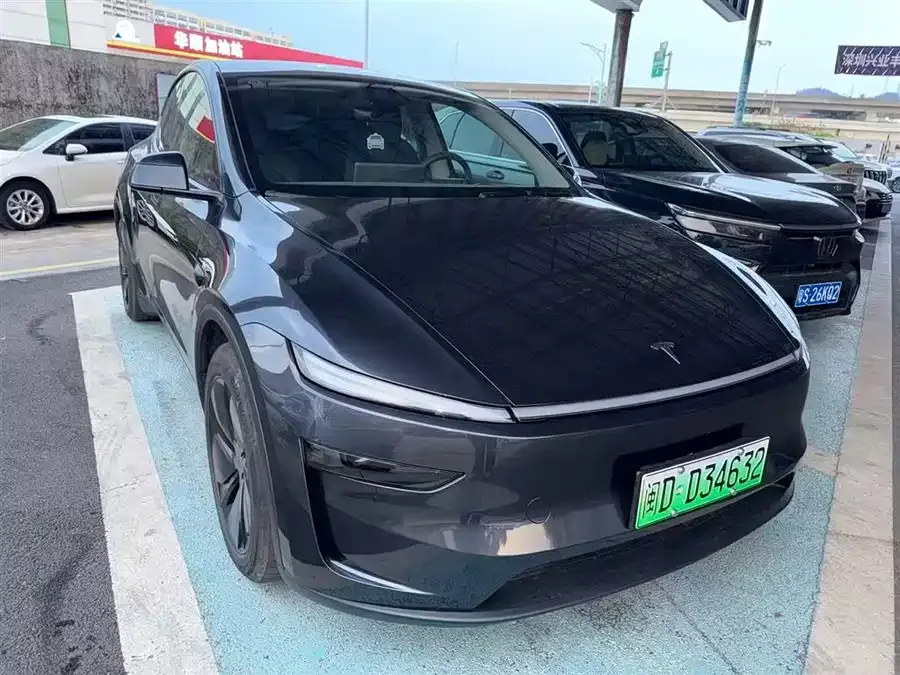 Tesla Model Y Model Y 2025 long-range all-wheel drive version 2025 — миниатюра 3