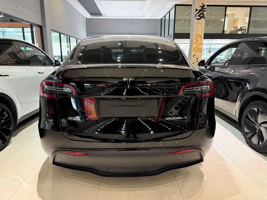 Tesla Model Y Model Y 2024 rear-wheel drive version 2024 — миниатюра 5