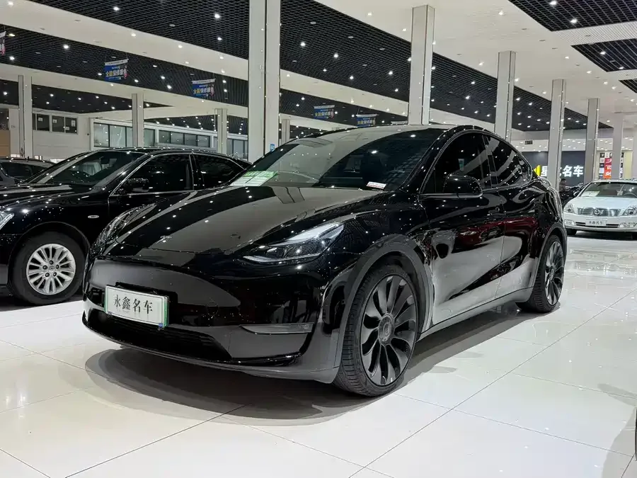 Tesla Model Y Model Y 2023 high-performance all-wheel drive version 2023 — миниатюра 3