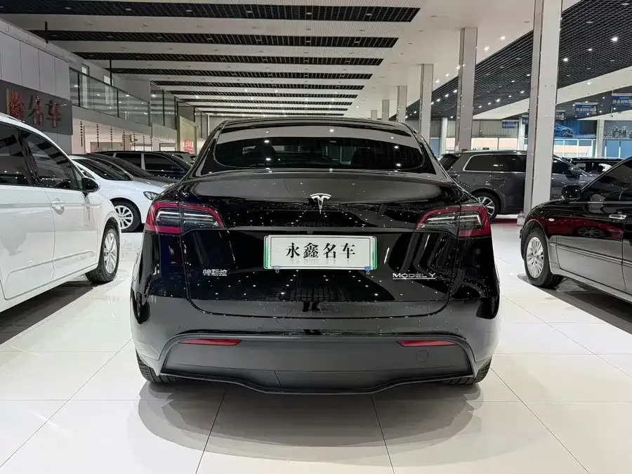 Tesla Model Y Model Y 2023 high-performance all-wheel drive version 2023 — миниатюра 4