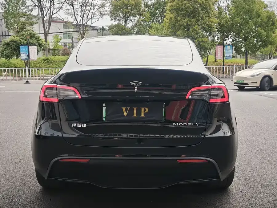 Tesla Model Y Model Y 2023 rear-wheel drive version 2023 — миниатюра 3