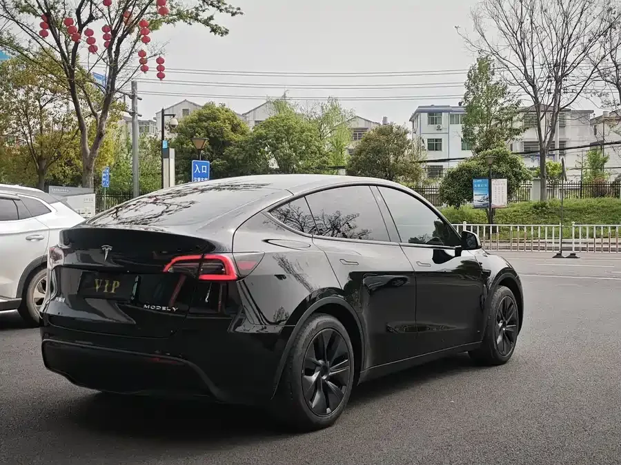 Tesla Model Y Model Y 2023 rear-wheel drive version 2023 — миниатюра 5