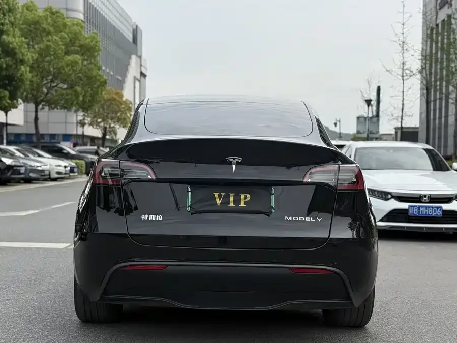 Tesla Model Y Model Y 2023 rear-wheel drive version 2023 — миниатюра 3