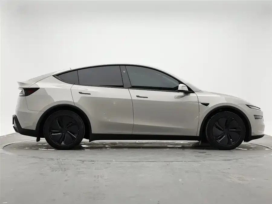 Tesla Model Y Model Y 2025 Long Range All-Wheel Drive First Edition 2025 — миниатюра 2
