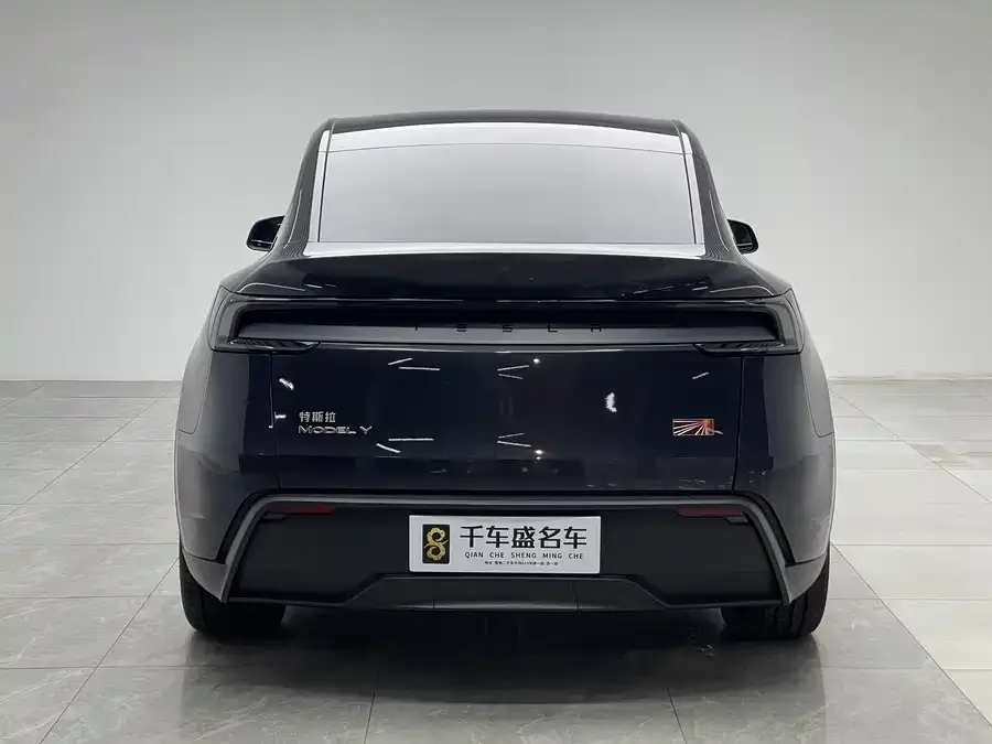 Tesla Model Y Model Y 2025 rear-wheel drive first edition 2025 — миниатюра 2