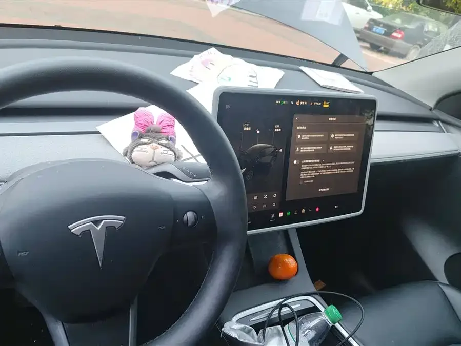 Tesla Model Y Model Y 2023 rear-wheel drive version 2024 — миниатюра 4