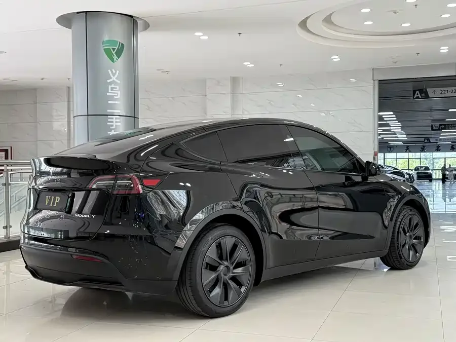 Tesla Model Y Model Y 2024 rear-wheel drive version 2024 — миниатюра 3