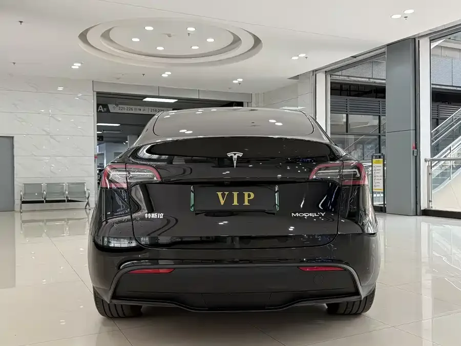Tesla Model Y Model Y 2024 rear-wheel drive version 2024 — миниатюра 5