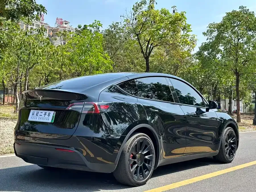 Tesla Model Y Model Y 2022 rear-wheel drive version 2022 — миниатюра 3
